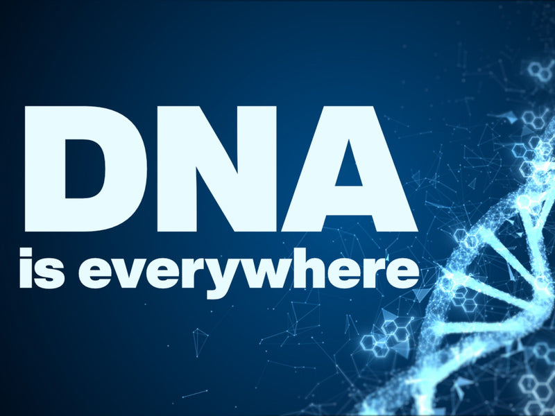 DNA ist überall